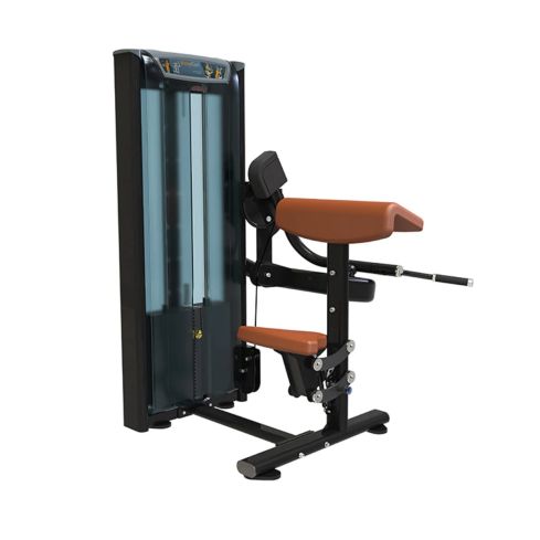 1441 Fitness Biceps Curl - 41FA509