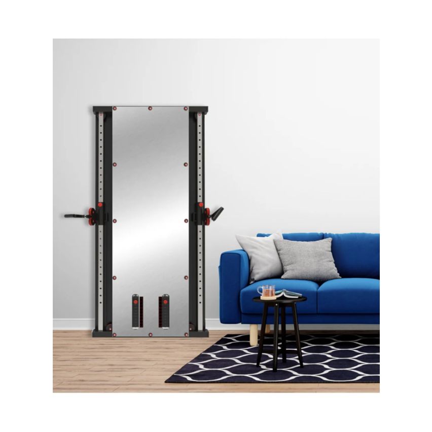 1441 Fitness Wall Mounted Mirror Functional Trainer - GT980