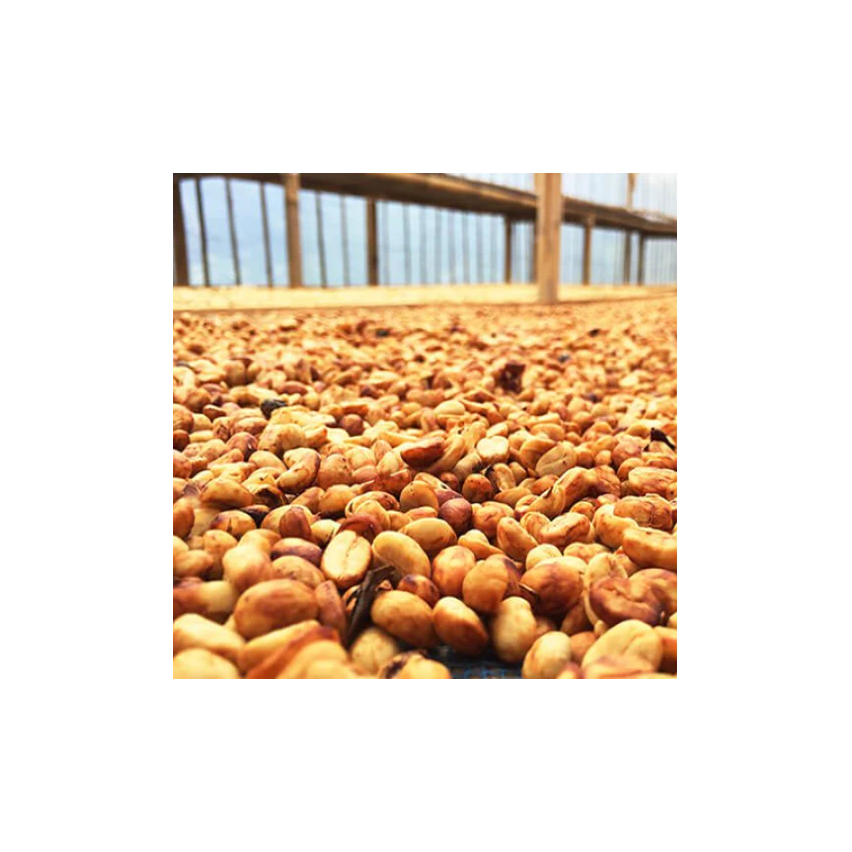 The Caphe Vietnam Premium Quality (Yellow Process) Vietnamese Whole Beans Coffee 1kg