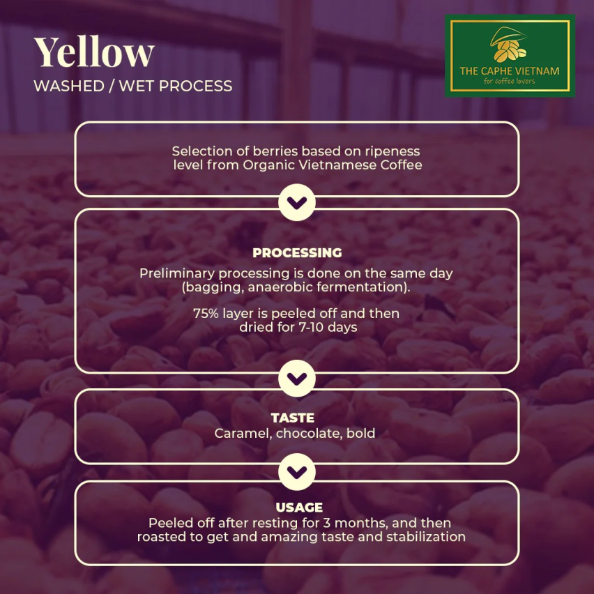 The Caphe Vietnam Premium Quality (Yellow Process) Vietnamese Whole Beans Coffee 1kg