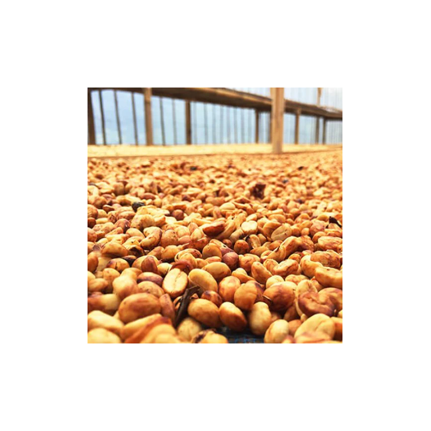 The Caphe Vietnam Premium Quality (Yellow process) Whole Beans Coffee 
