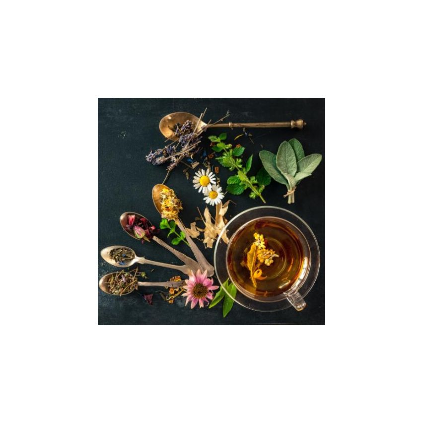 The Caphe Vietnam Cordyceps Beauty  Tea, 15 Sachets