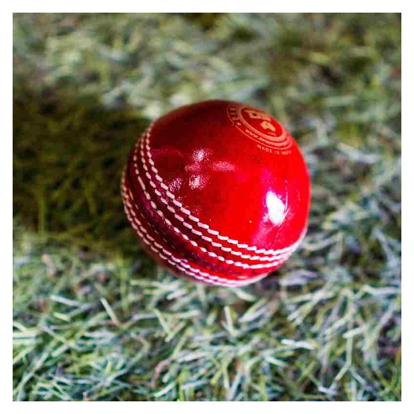 Dawson Sports Shield Cricket Ball