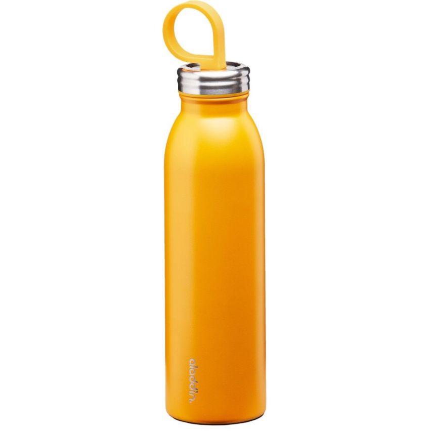 Aladdin Chilled Thermavac Stainless Steel Water Bottle