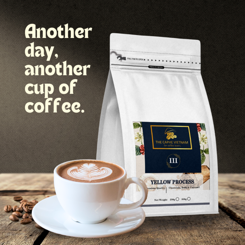 The Caphe Vietnam Premium Quality (Yellow Process) Vietnamese Whole Beans Coffee 1kg