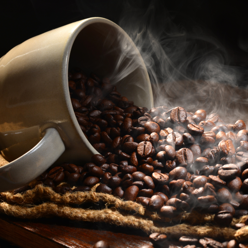 The Caphe Vietnam Fine Robusta Blended Vietnamese Whole Beans Coffee 