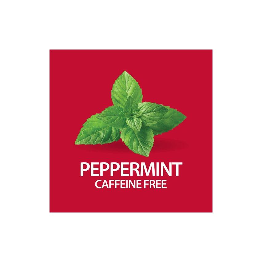 21st Century Herbal Slimming Peppermint Tea 24 Tea Bags
