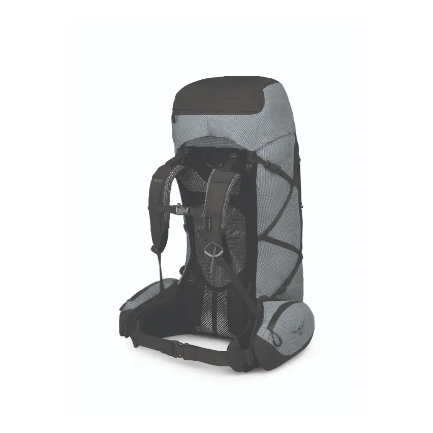 Osprey Aether Pro 75 Travel Backpack Silver Lining 