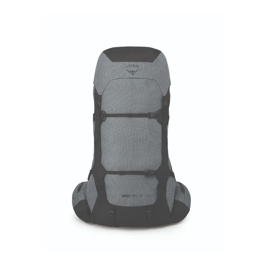 Osprey Aether Pro 75 Travel Backpack Silver Lining 