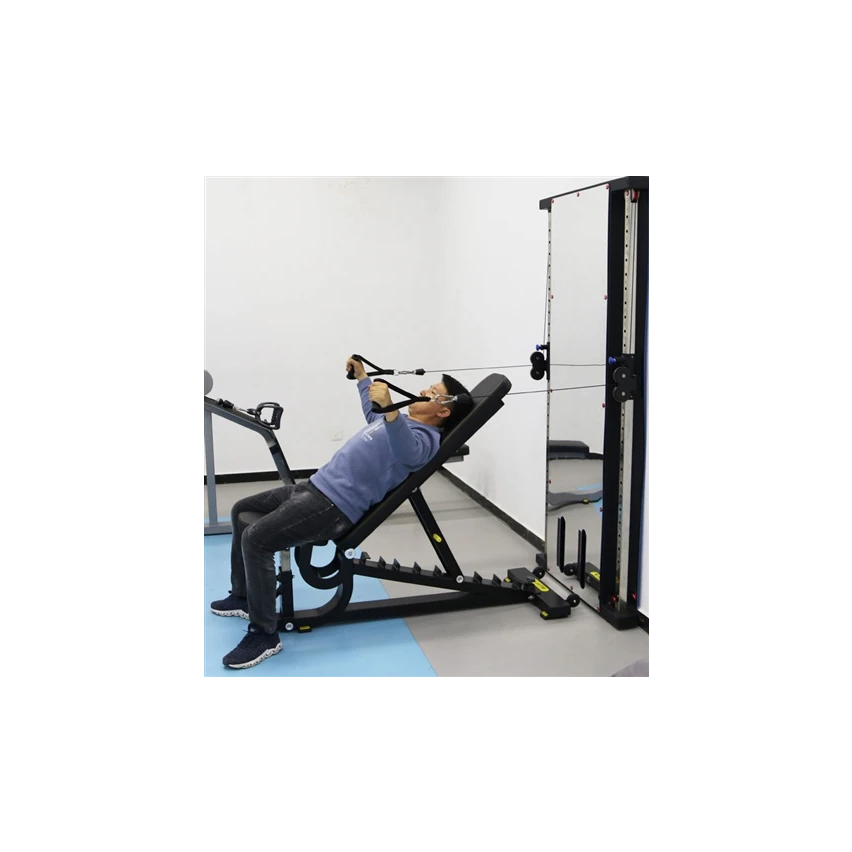 1441 Fitness Wall Mounted Mirror Functional Trainer - GT980