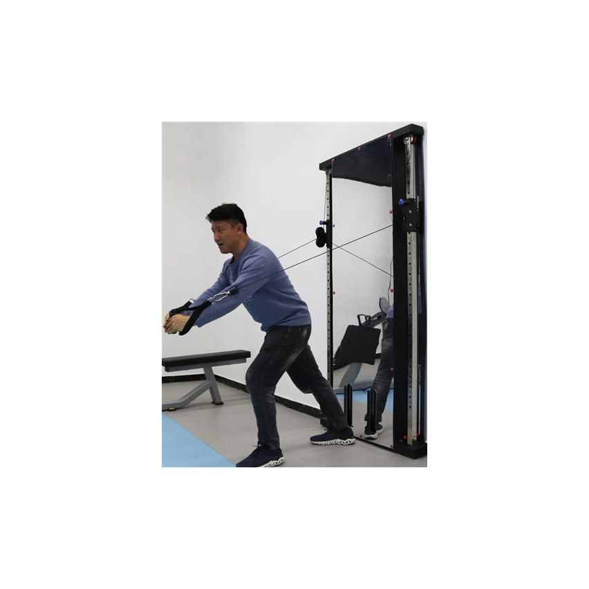 1441 Fitness Wall Mounted Mirror Functional Trainer - GT980