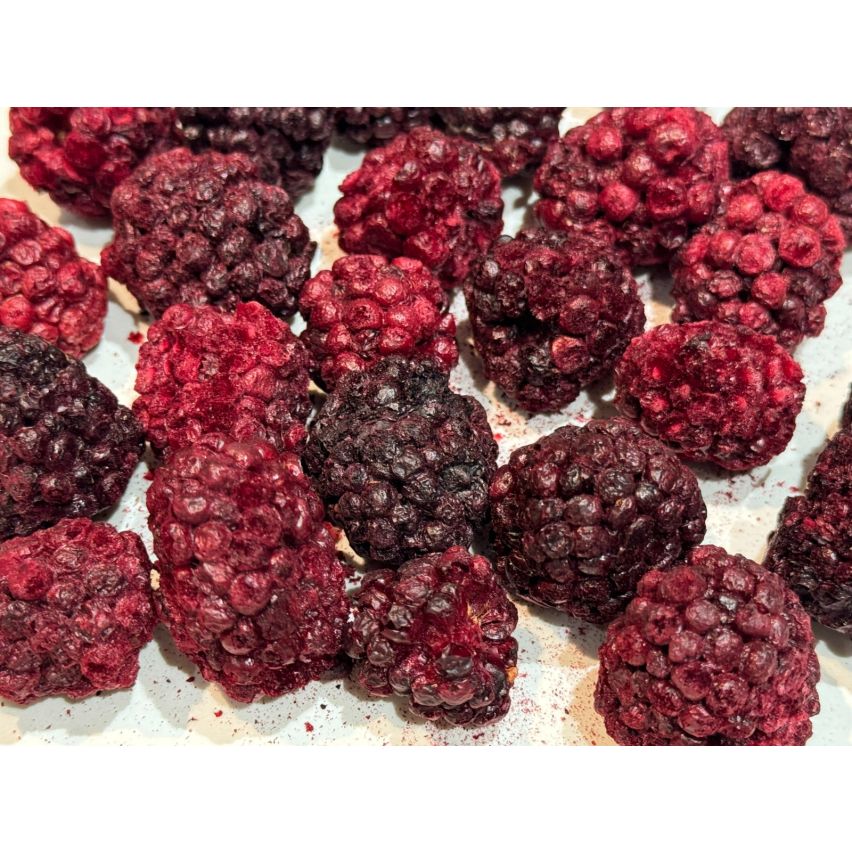 Bonaf Freeze Dried Blackberry Bulk