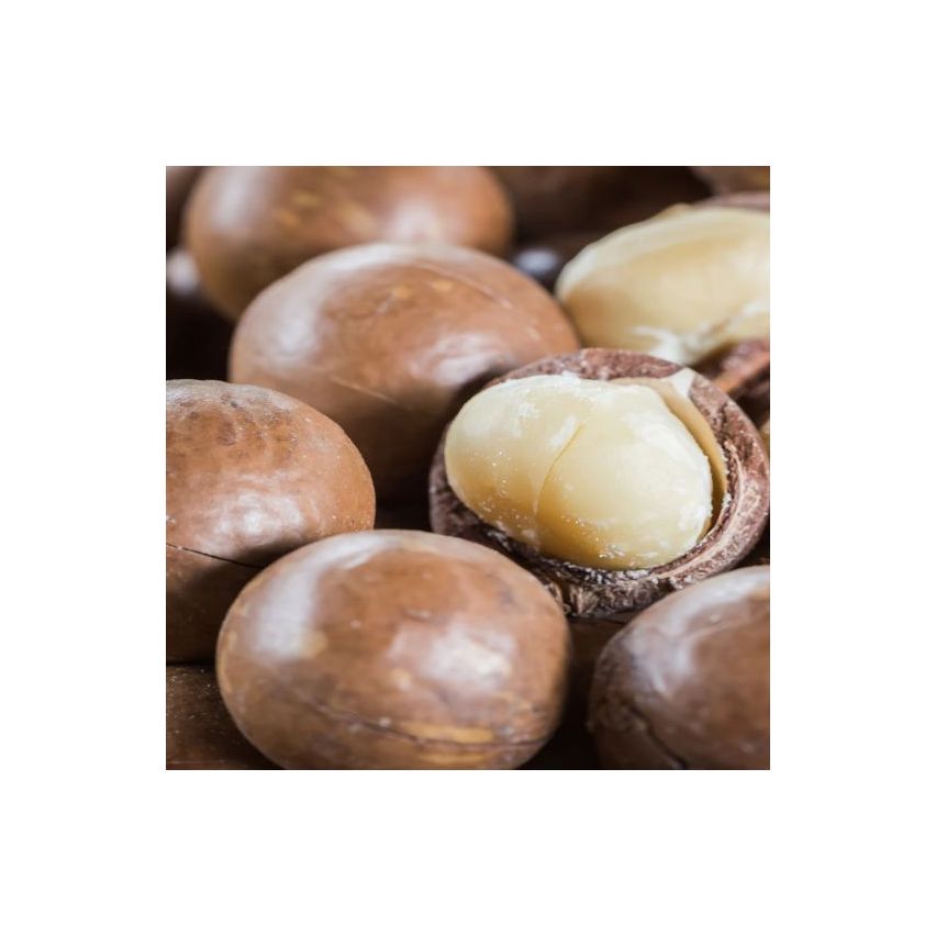 The Caphe Vietnam Premium Roasted Unsalted Macadamia Nut, Vip Size With Shell Nuts 