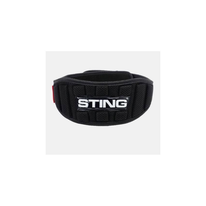 Sting-Neo-Lifting-Belt-4-inch – Activemile.com