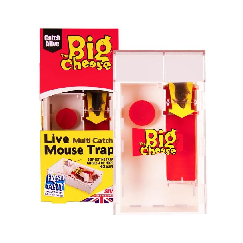 STV Live Multi-Catch Mouse Trap