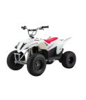 Razor Dirt Quad 500 15km/h 14+