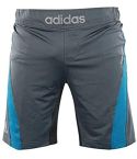 Adidas Men's Foundation Training Short - Granite/Solar Blue/Silver