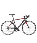 Wilier Bike Montegrappa Tiagra Grey Matte/Red - L