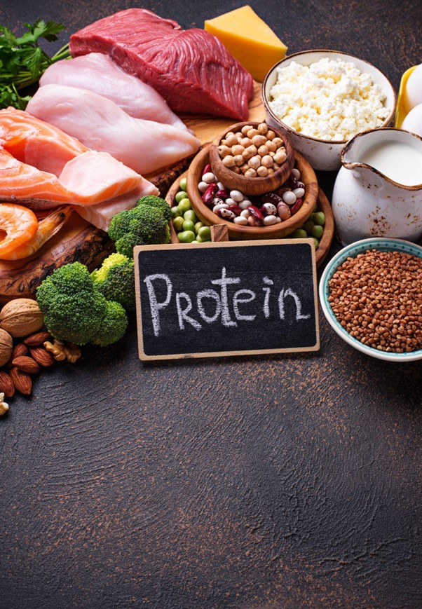 Protein Power! – Activemile.com